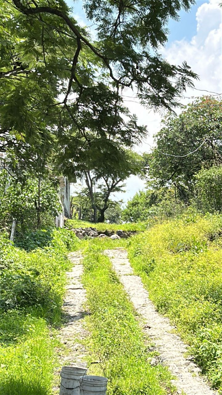 Terrenos en Ahuatepec